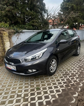 Kia Ceed cena 27900 przebieg: 202847, rok produkcji 2013 z Urzędów małe 631